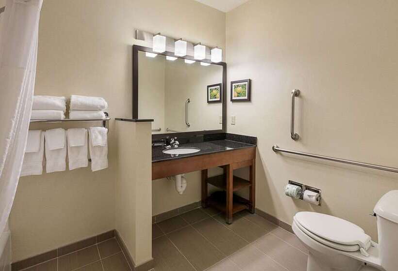 Отель Comfort Suites Saginaw