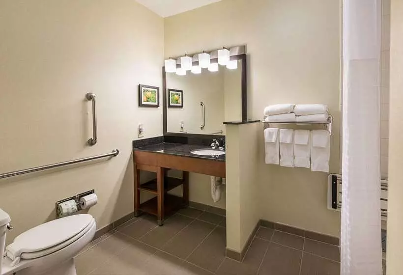 Отель Comfort Suites Saginaw