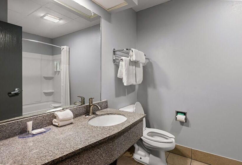 酒店 Clarion Pointe Hinesville Near Fort Stewart