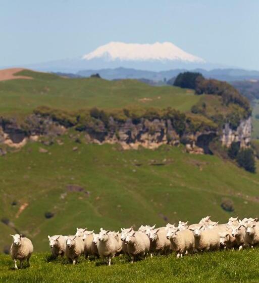 צימר Carmel Farmstay