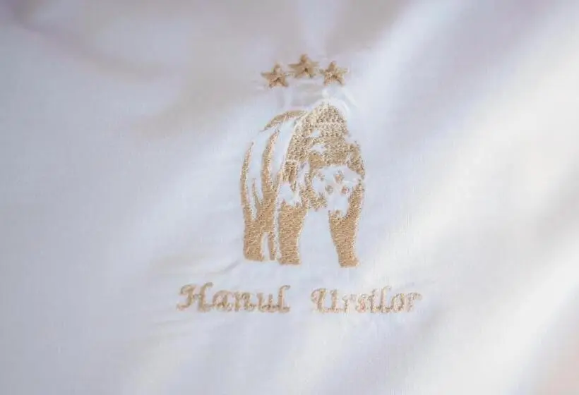 ホテル Hanul Ursilor