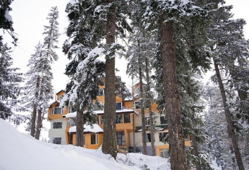 فندق The Rosewood