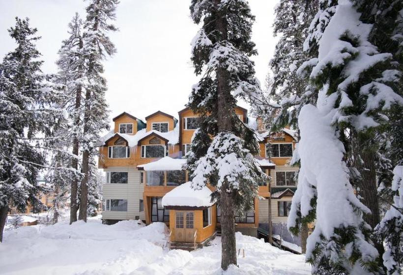 فندق The Rosewood