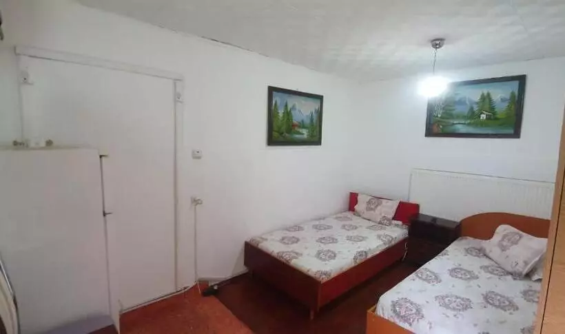 ペンション Casa Pitaru