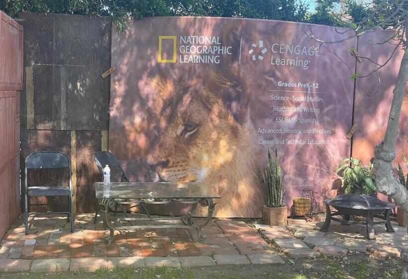 بنسيون The Village