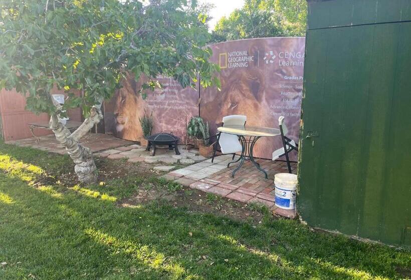 بنسيون The Village