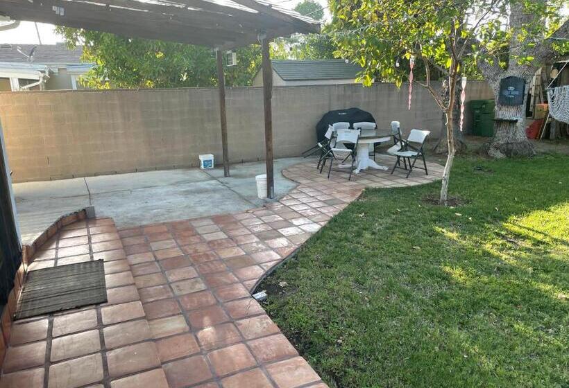 بنسيون The Village