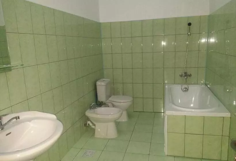 Pensiune Casa Rustica