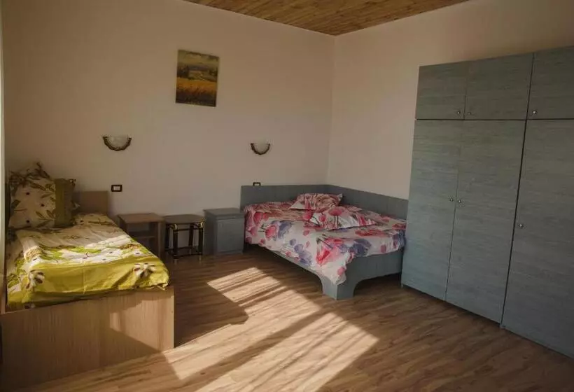 Pensiune Casa Rustica