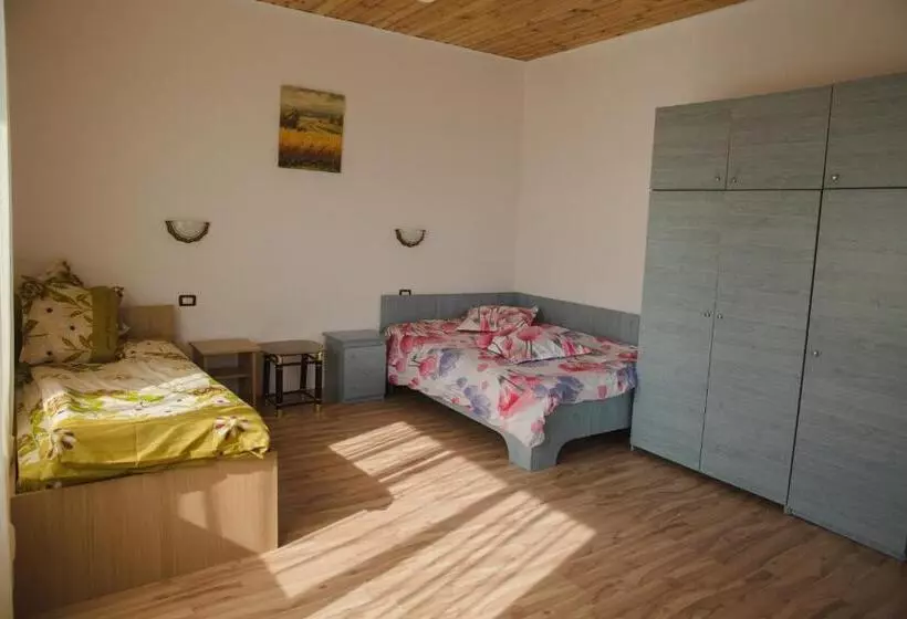 Pensiune Casa Rustica