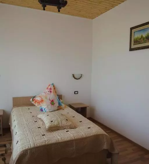 Pensiune Casa Rustica