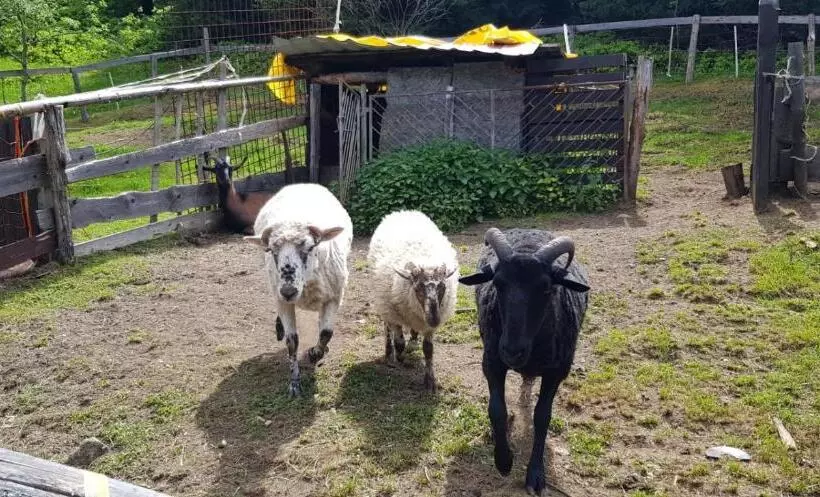 Majatalo Chata Pod čertovicou