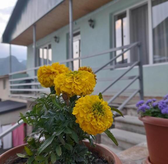 پانسیون Kera Guest House