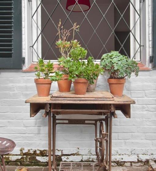 호스텔 La Petite Maison San Isidro