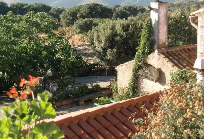 ホテル Agriturismo Costiolu