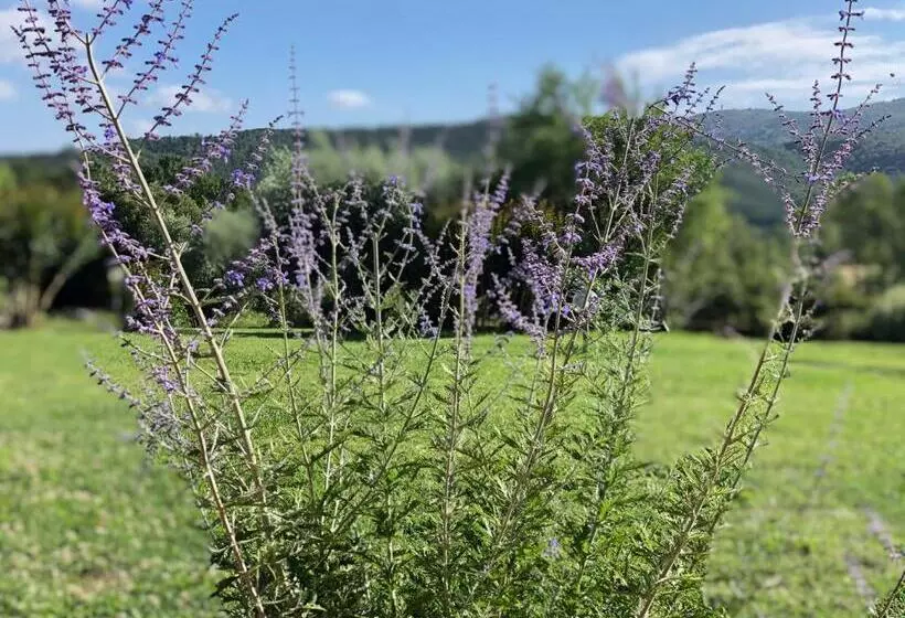 ホテル Agriturismo Santa Lorica