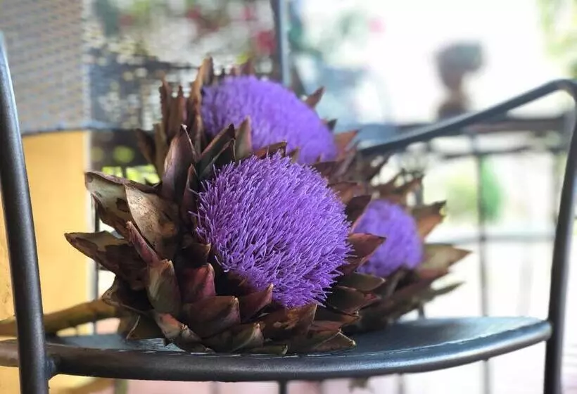 ホテル Agriturismo Santa Lorica