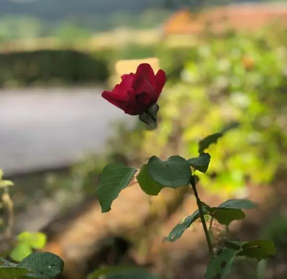 ホテル Agriturismo Santa Lorica