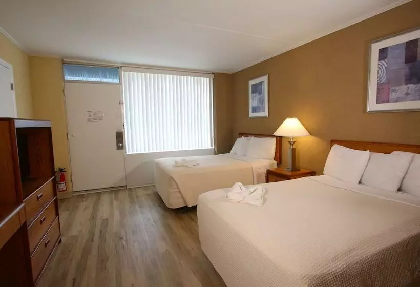 The Crusader Oceanfront Family Resort