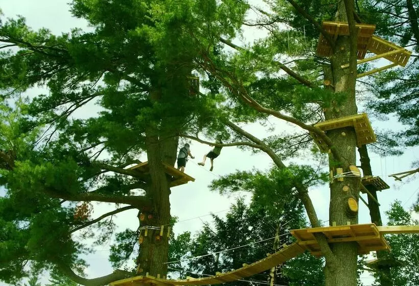 هتل Cranmore Mountain Lodge Bed & Breakfast