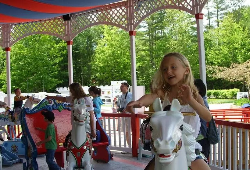 هتل Cranmore Mountain Lodge Bed & Breakfast