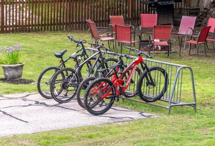 هتل Cranmore Mountain Lodge Bed & Breakfast