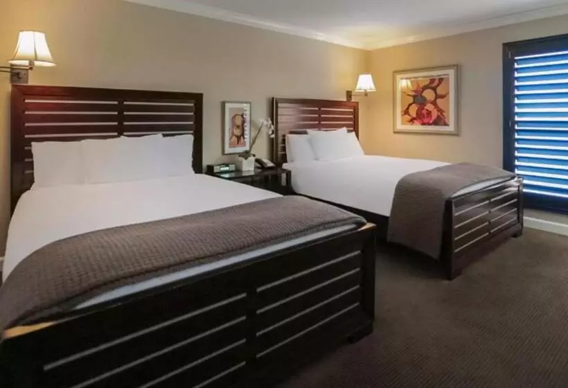 בית מלון כפרי Cupertino