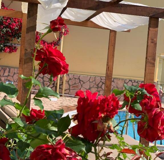 Hotel Avra Sea View Paradise Pool Apartments