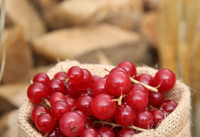 酒店 Grand Cosmopolitan