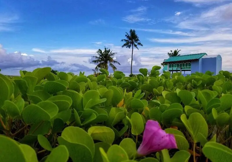 هتل Nomadic Inn