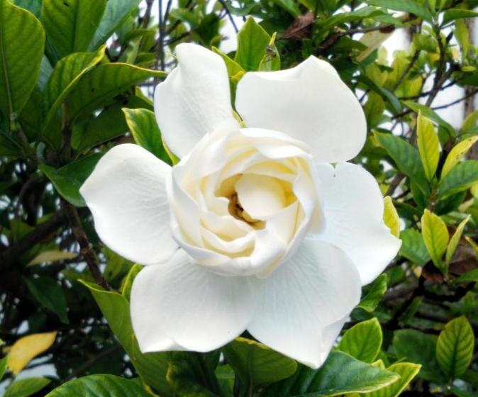 La Social Hostel Y Libros