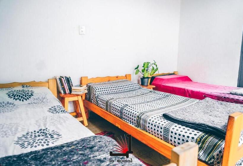 La Social Hostel Y Libros