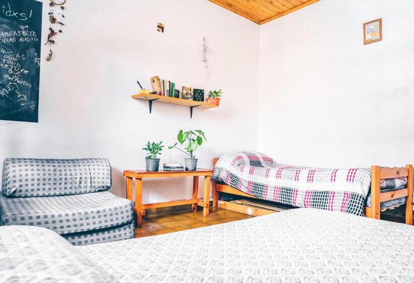 La Social Hostel Y Libros