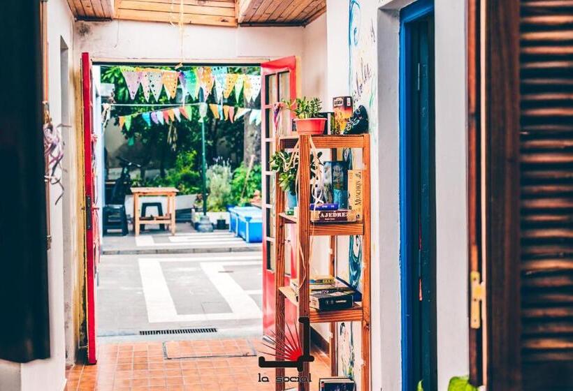 La Social Hostel Y Libros