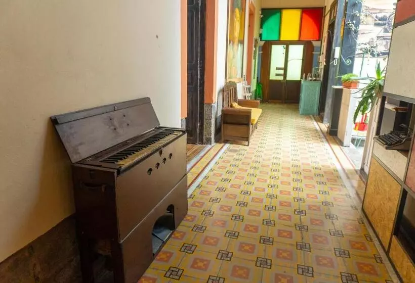 تختخواب و صبحانه Villa Bonita Hostel