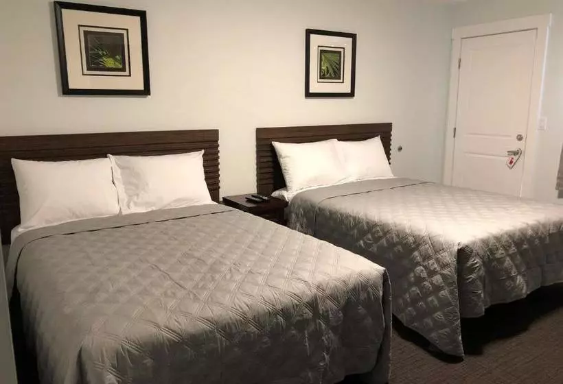 ホテル Onoway Inn And Suites