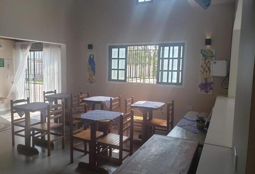 Отель Pousada Chilli Brasil