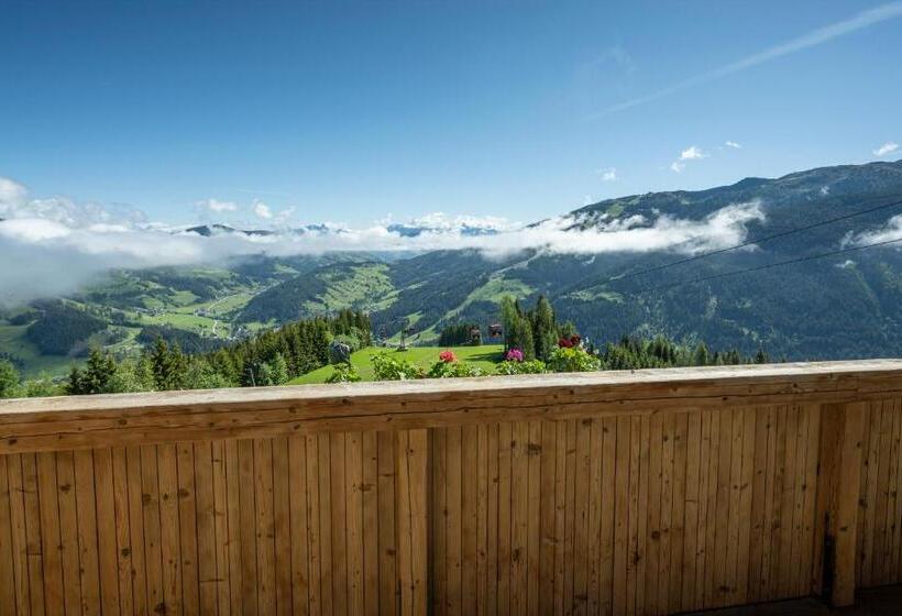 פנסיון Berggasthof Höllenstein