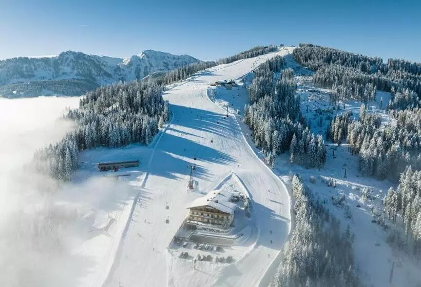 پانسیون Berggasthof Höllenstein