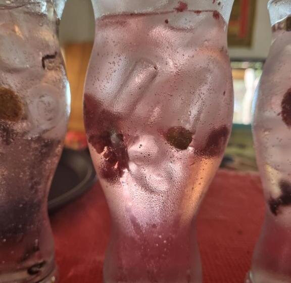 پانسیون Thumbi View Lodge