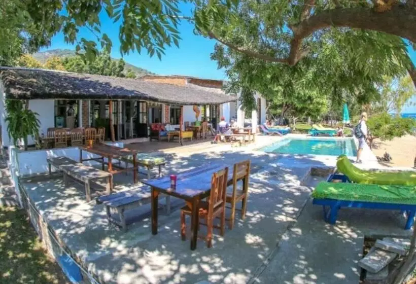 Pension  Thumbi View Lodge