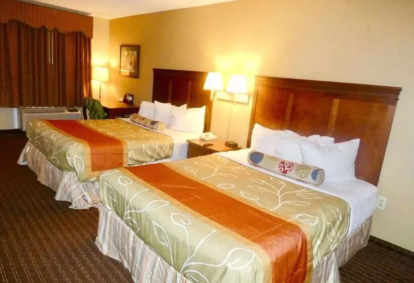 酒店 Americas Best Value Inn Montezuma