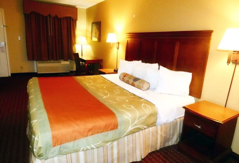 酒店 Americas Best Value Inn Montezuma