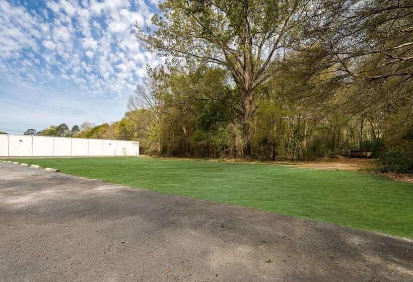 酒店 Americas Best Value Inn Montezuma