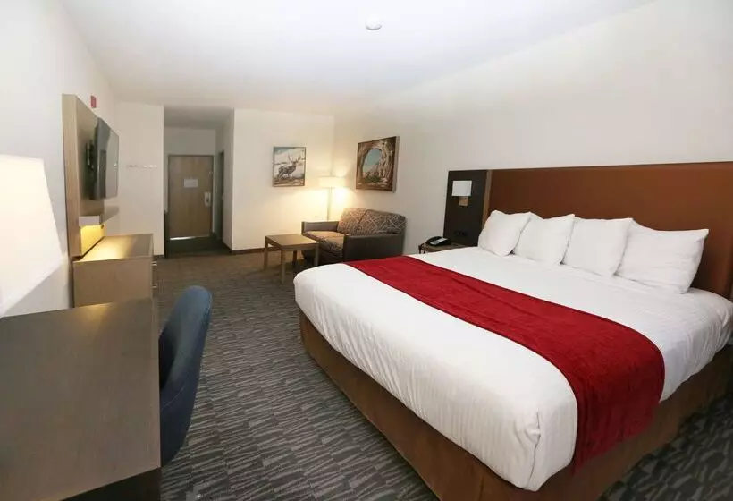 בית מלון כפרי Best Western Inn Of Payson