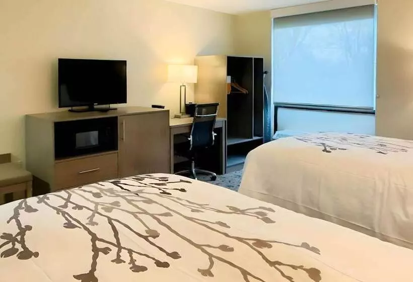 Отель Sleep Inn