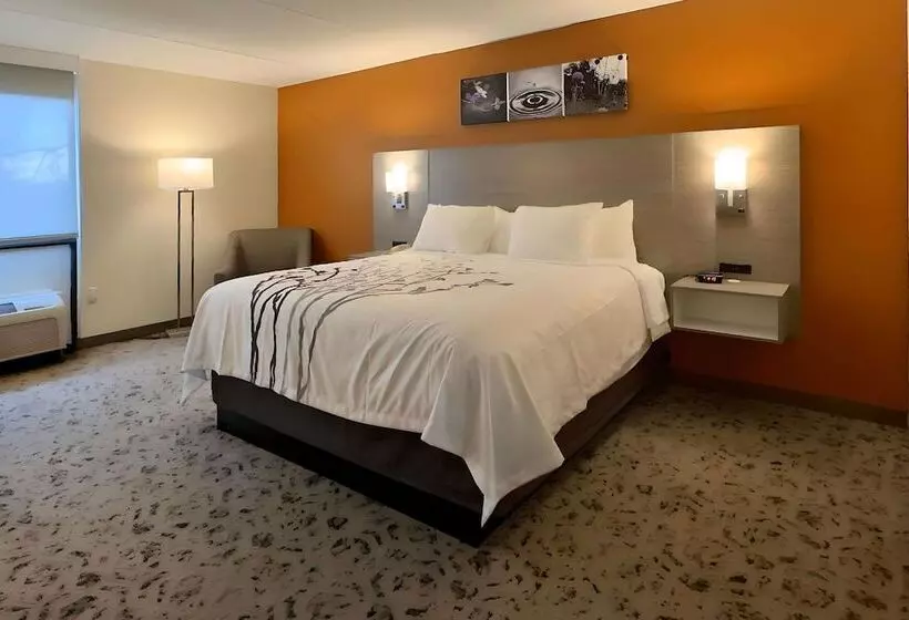 Отель Sleep Inn