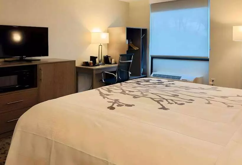 Отель Sleep Inn