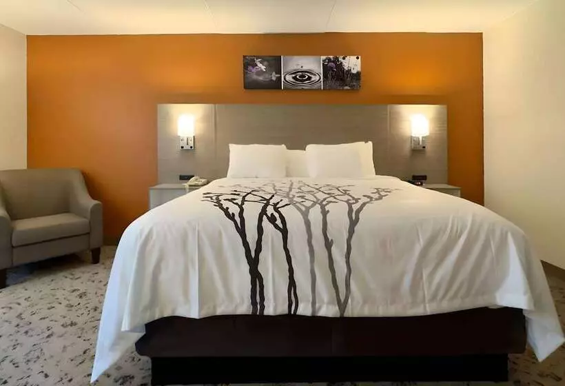 Отель Sleep Inn