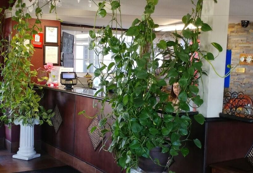 酒店 La Plaza Inn Los Banos